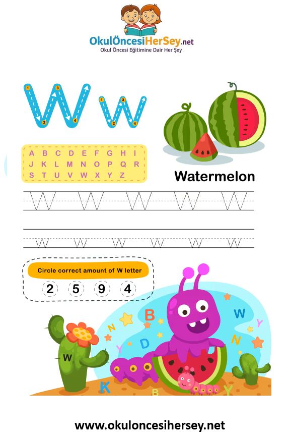 Çizgi Çalışmaları