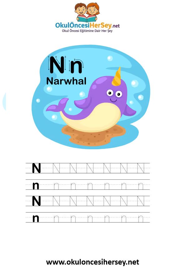 Çizgi Çalışmaları