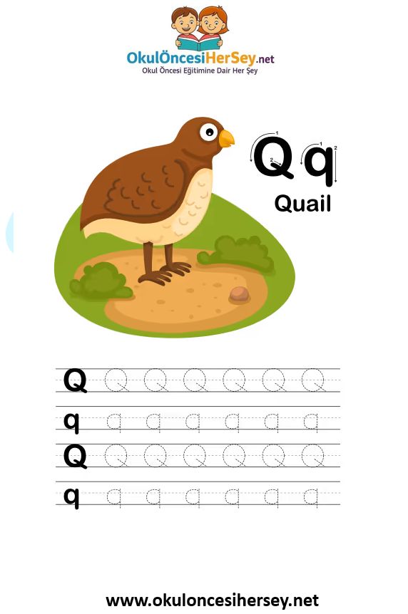 Çizgi Çalışmaları