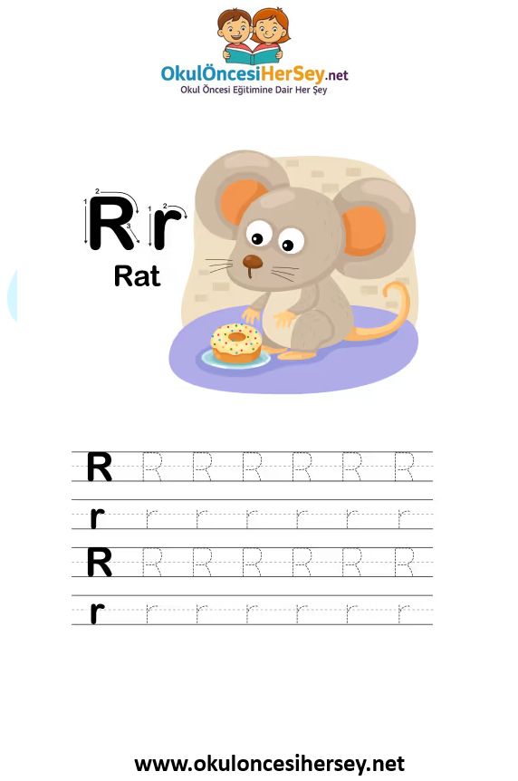Çizgi Çalışmaları