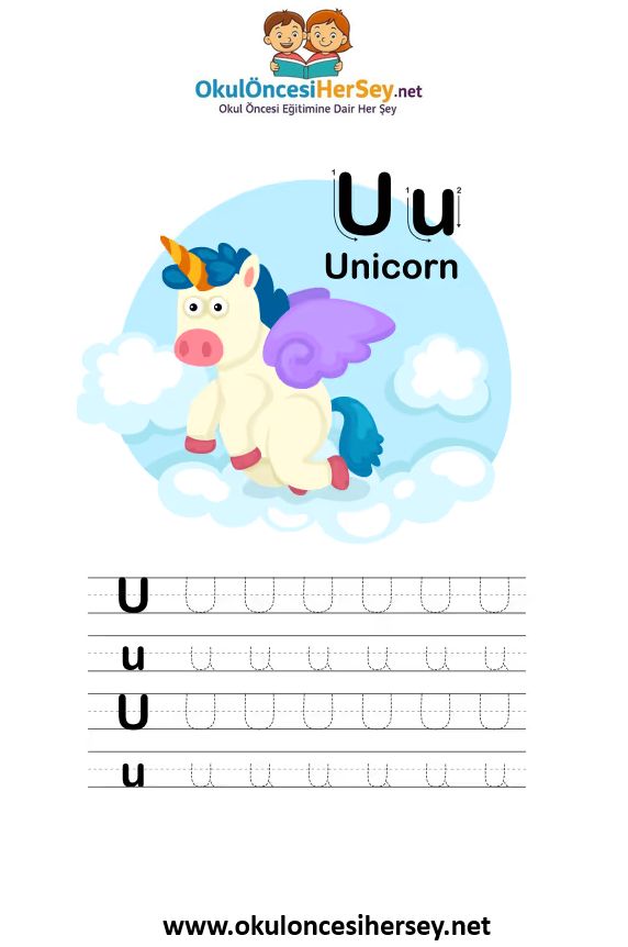 Çizgi Çalışmaları