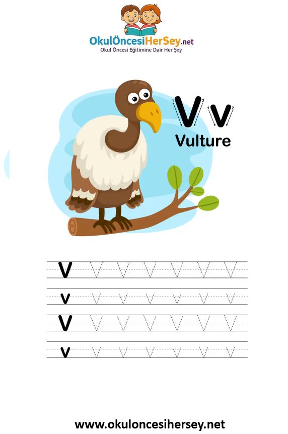 Çizgi Çalışmaları