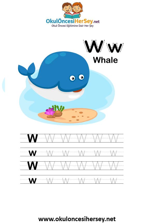 Çizgi Çalışmaları