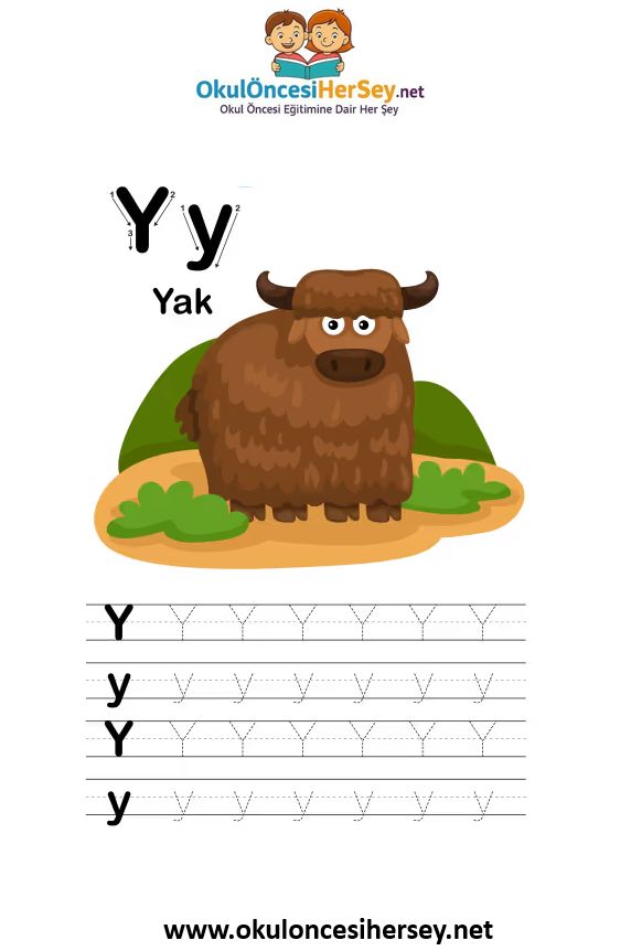 Çizgi Çalışmaları