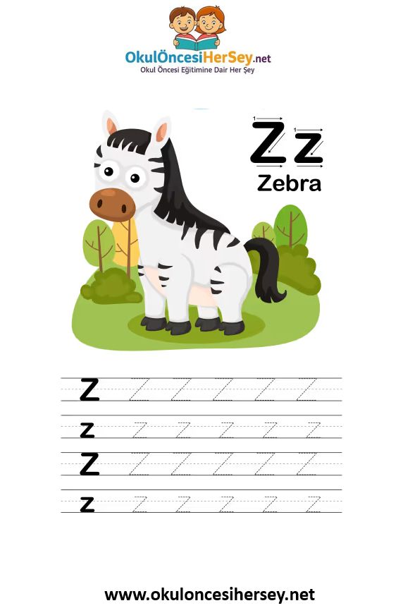 Çizgi Çalışmaları