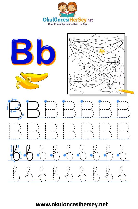 Çizgi Çalışmaları