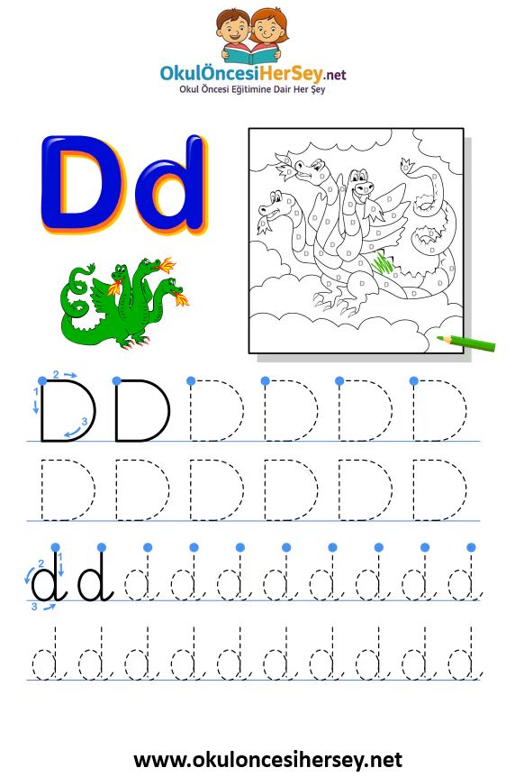 Çizgi Çalışmaları