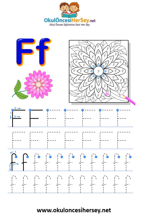 Çizgi Çalışmaları
