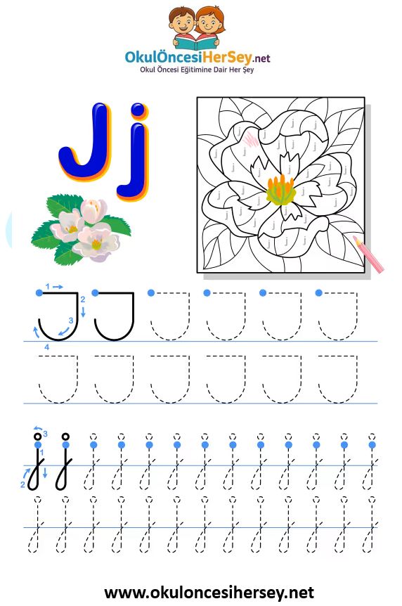 Çizgi Çalışmaları