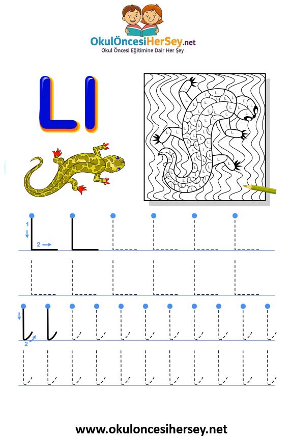 Çizgi Çalışmaları