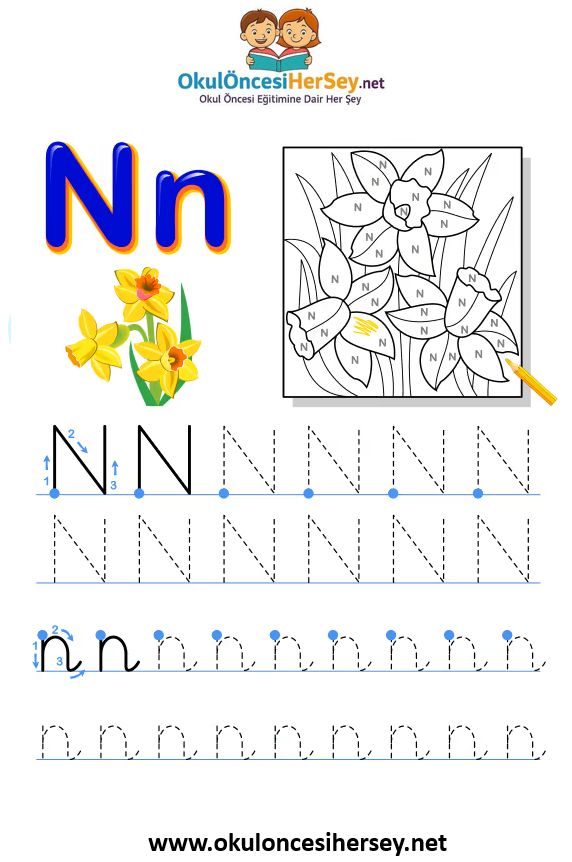 Çizgi Çalışmaları