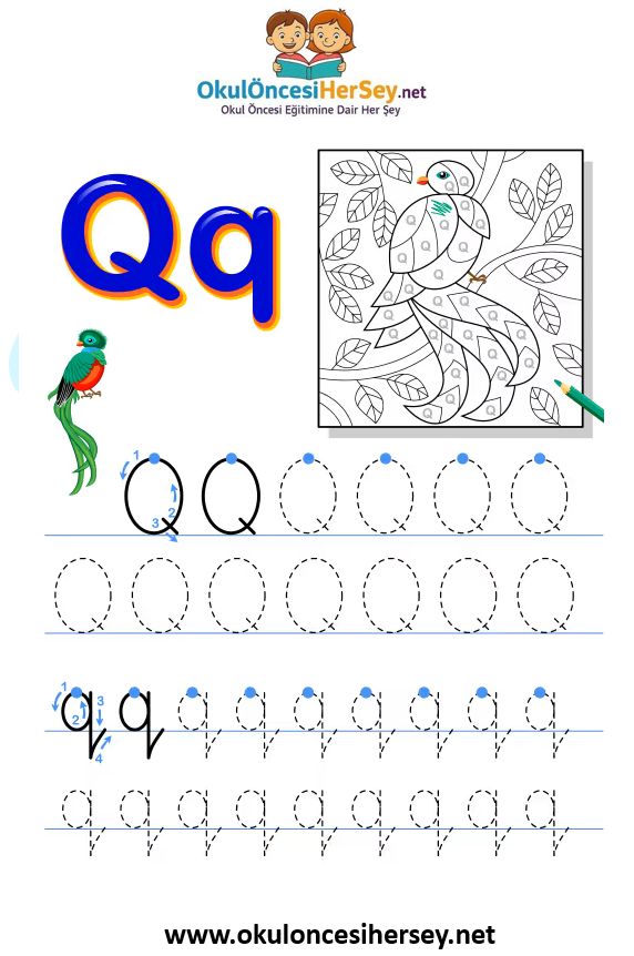 Çizgi Çalışmaları