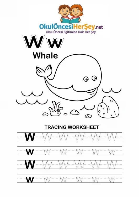 Çizgi Çalışmaları