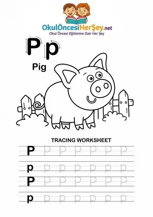 Çizgi Çalışmaları