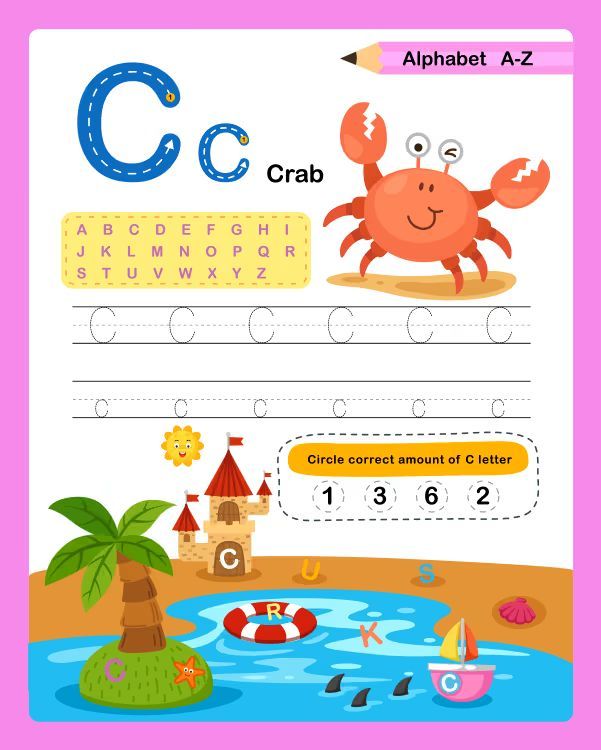 Çizgi Çalışmaları