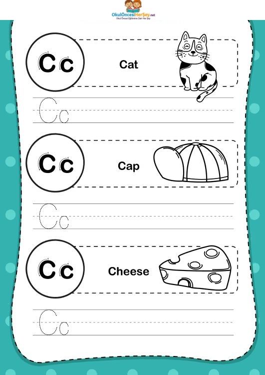 Çizgi Çalışmaları