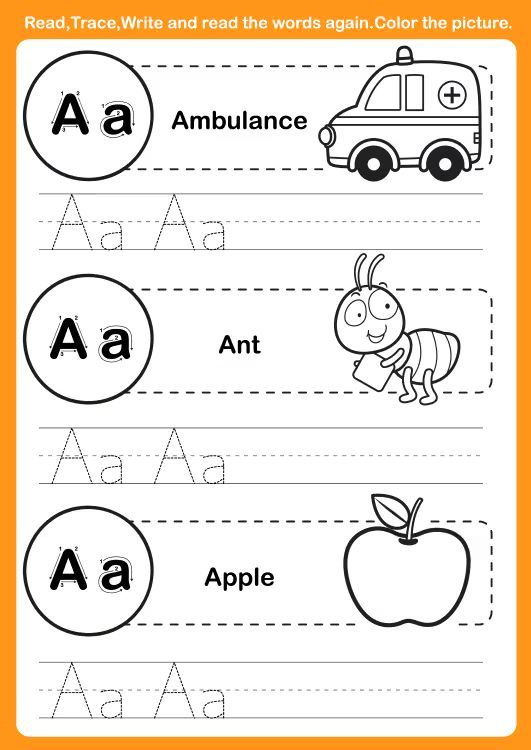 Çizgi Çalışmaları