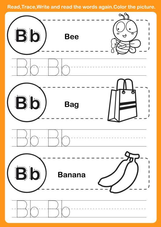 Çizgi Çalışmaları