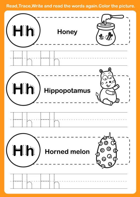 Çizgi Çalışmaları