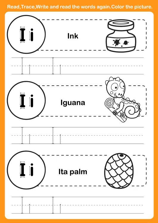 Çizgi Çalışmaları