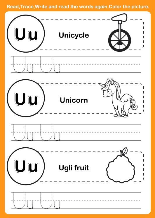 Çizgi Çalışmaları