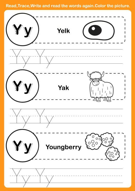 Çizgi Çalışmaları