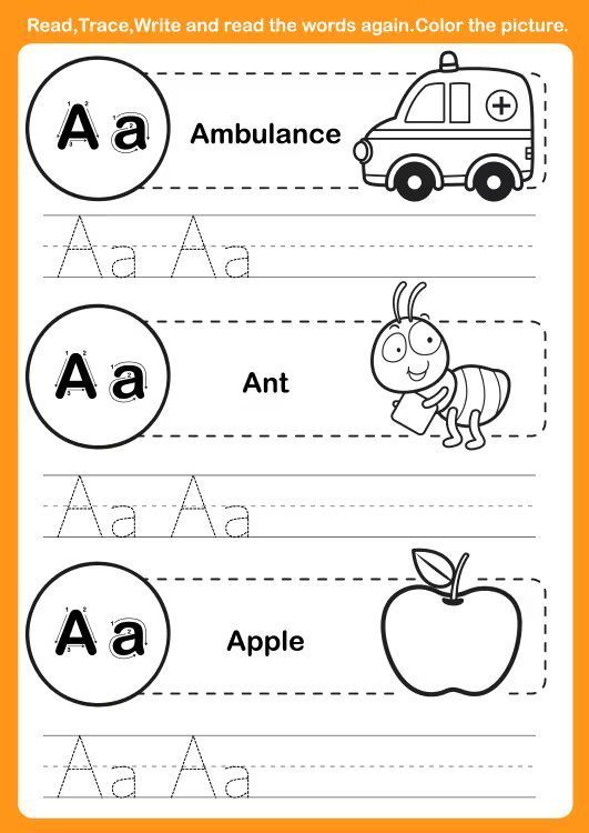 Çizgi Çalışmaları