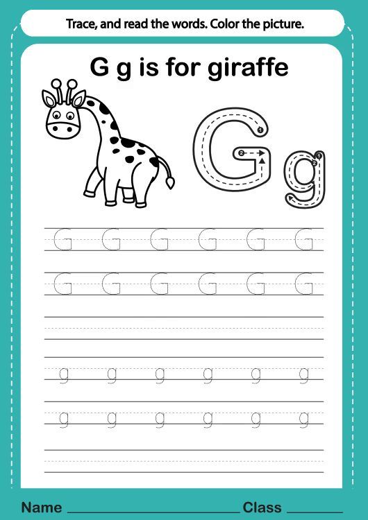 Çizgi Çalışmaları