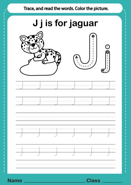 Çizgi Çalışmaları