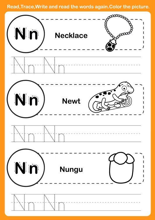 Çizgi Çalışmaları