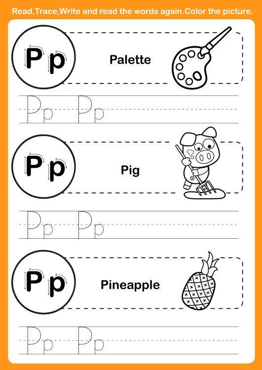 Çizgi Çalışmaları