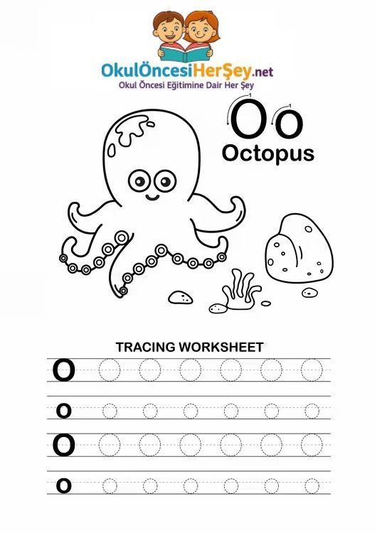 Çizgi Çalışmaları