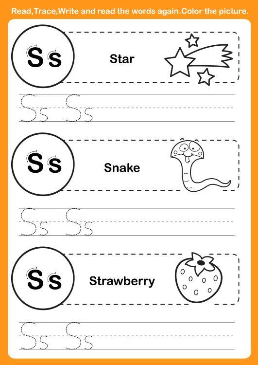 Çizgi Çalışmaları