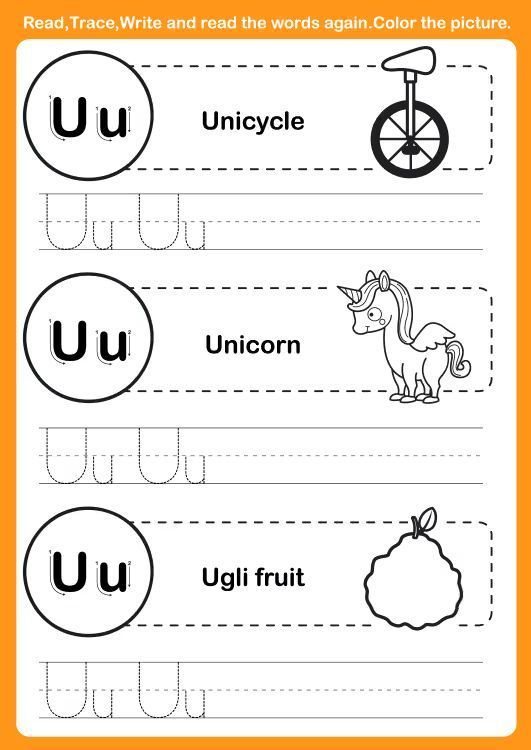 Çizgi Çalışmaları