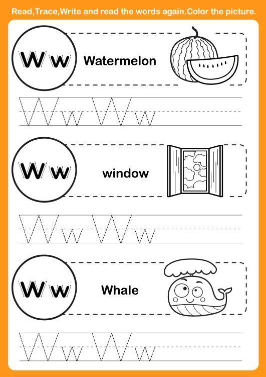 Çizgi Çalışmaları