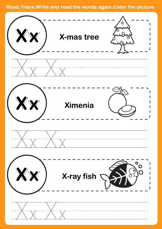 Çizgi Çalışmaları