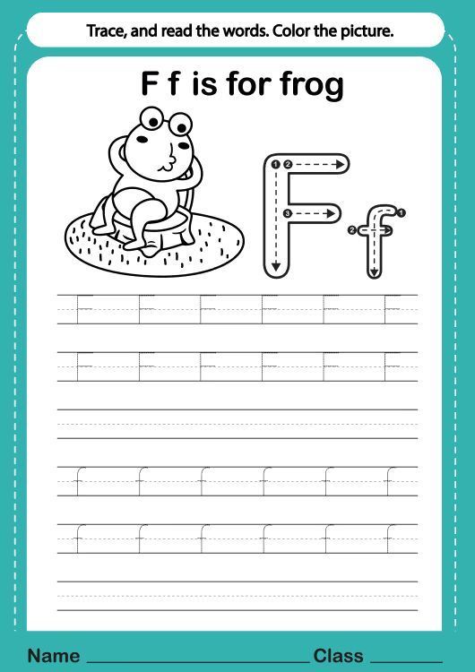 Çizgi Çalışmaları