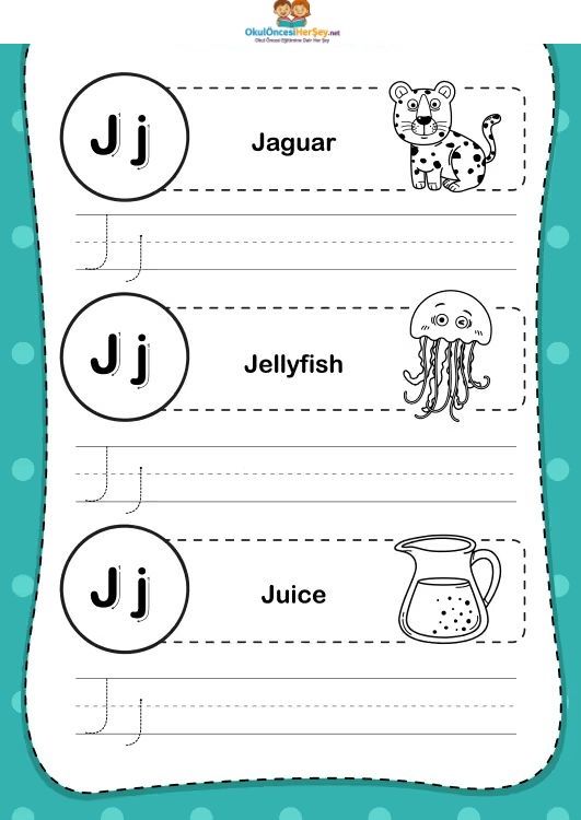 Çizgi Çalışmaları