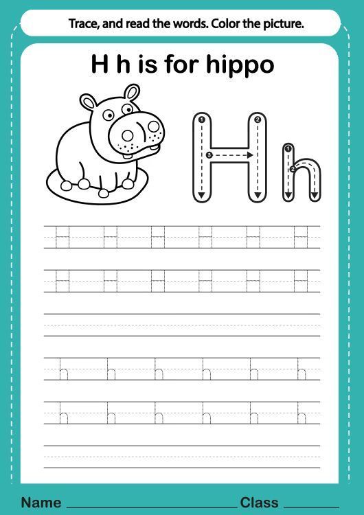 Çizgi Çalışmaları