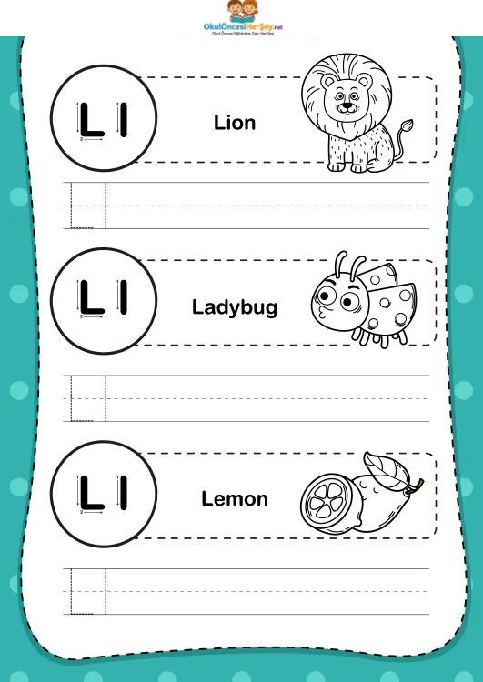 Çizgi Çalışmaları