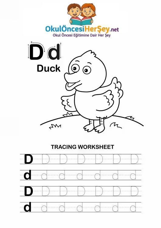 Çizgi Çalışmaları