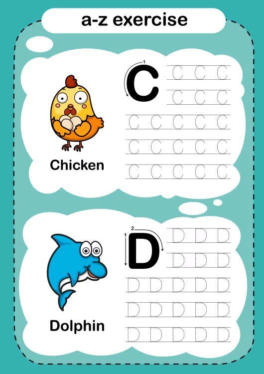 Çizgi Çalışmaları