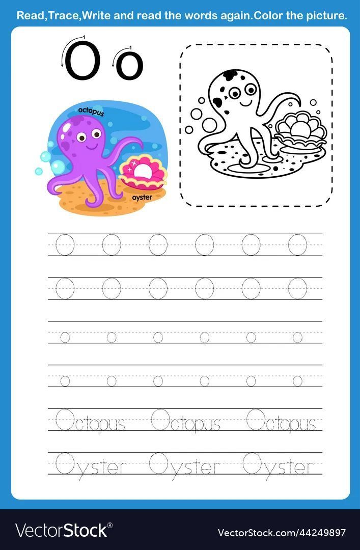 Çizgi Çalışmaları