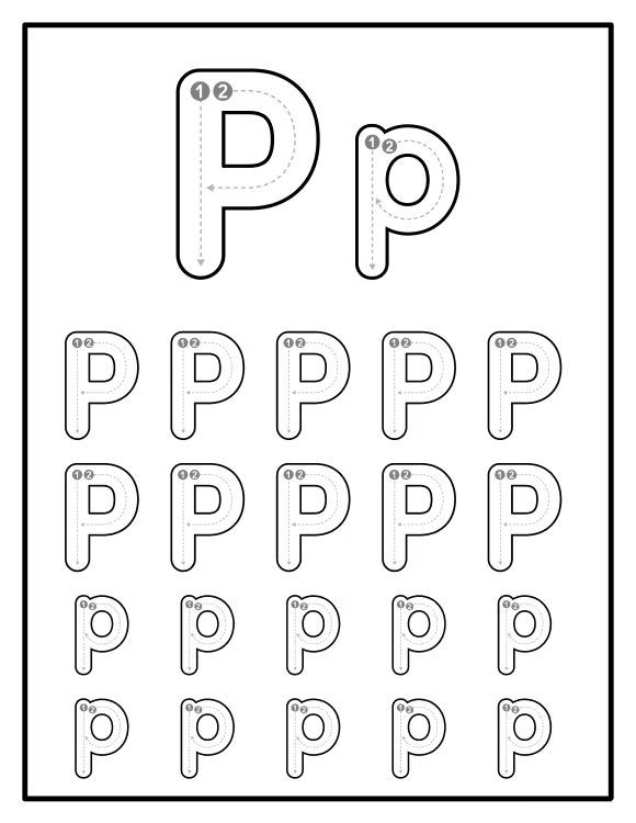 Çizgi Çalışmaları