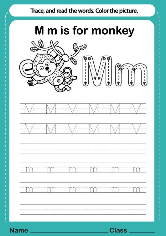 Çizgi Çalışmaları