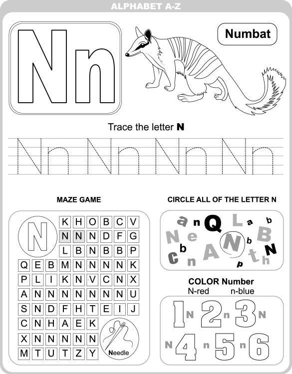 Çizgi Çalışmaları