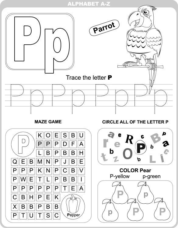 Çizgi Çalışmaları