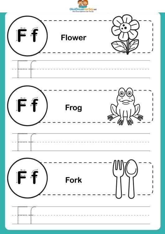 Çizgi Çalışmaları