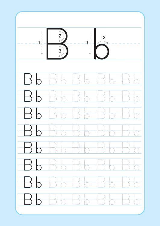 Çizgi Çalışmaları