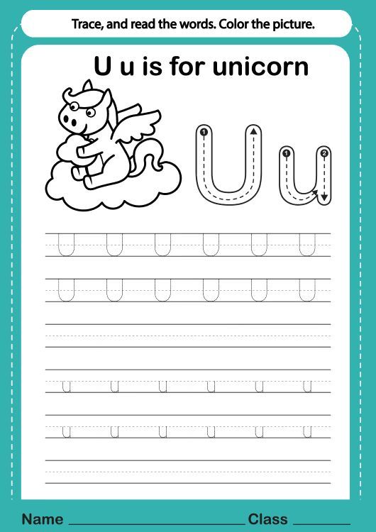 Çizgi Çalışmaları